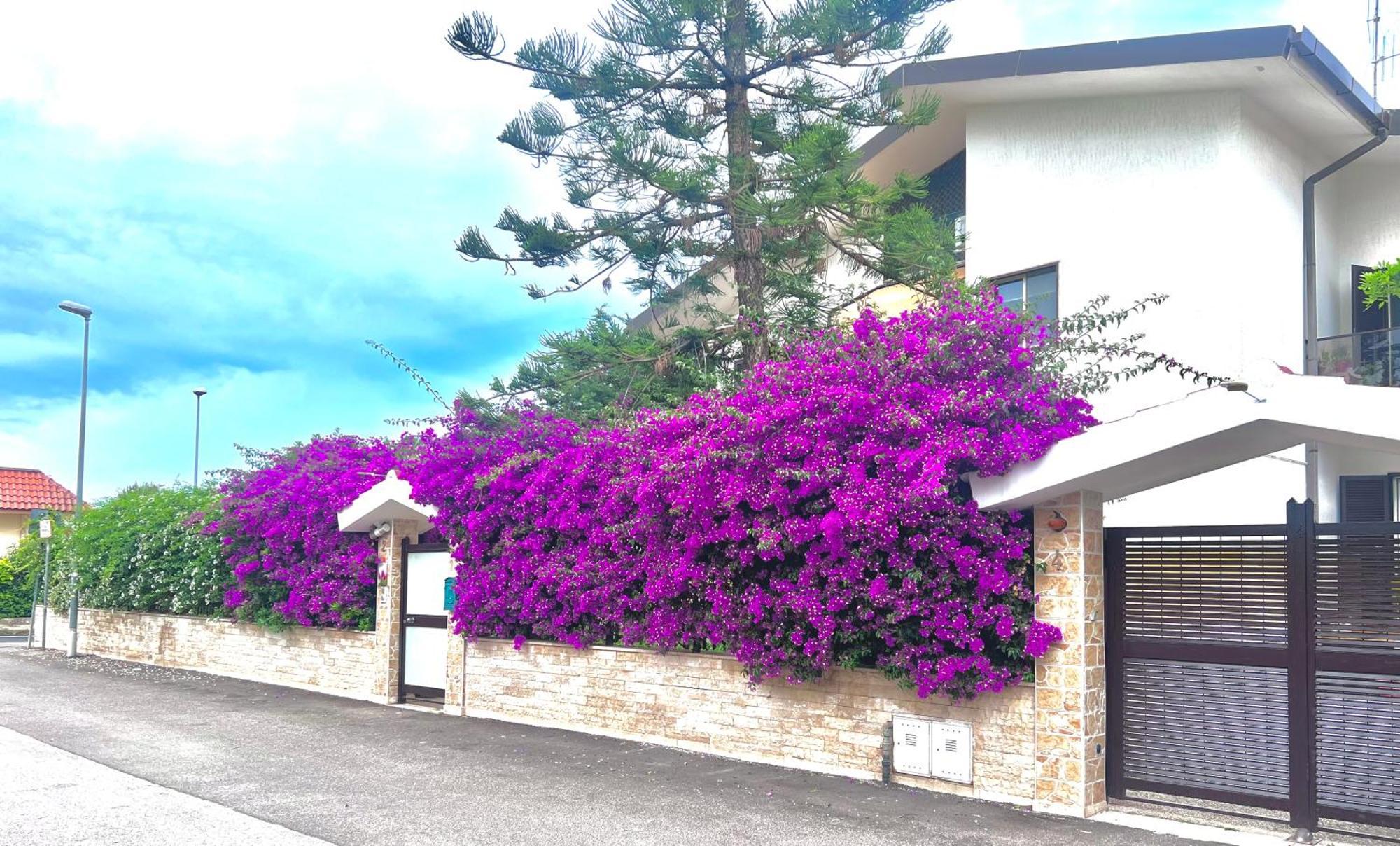 バーリTulipano Rossoアパートメント エクステリア 写真